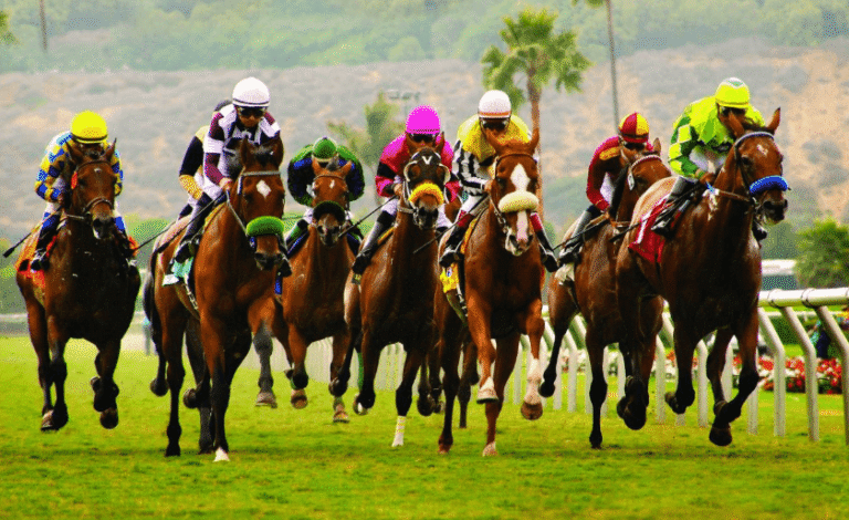 The Most Famous Horse Racing Tracks and Venues Around the World