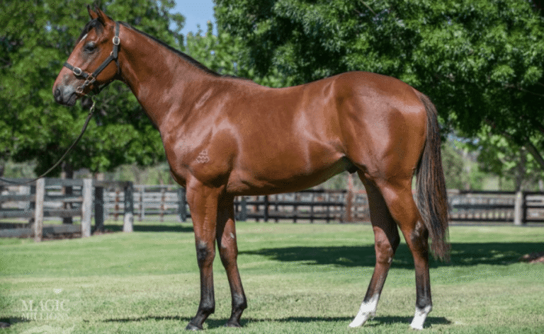 The Most Famous Horses in Horse Racing History