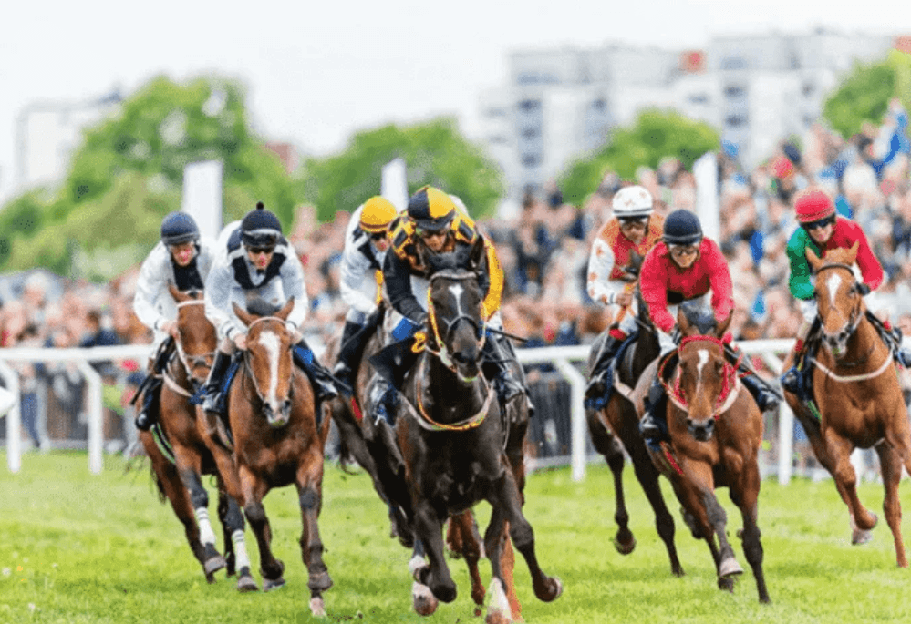 ledueldutierce || ledueldutierce turf