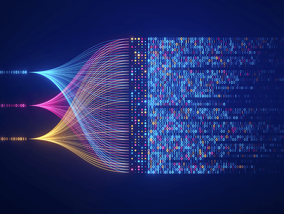 How Organizations Manage Technology Risks