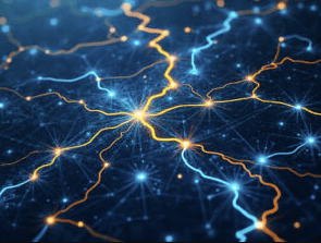 Network Effects vs Speculative Demand